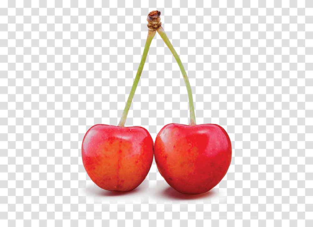 Cherry Color Red Fruits, Plant, Food Transparent Png