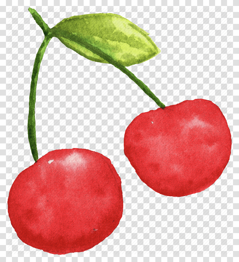 Cherry Cuisine Food Fruit Fruits Watercolor Watercolors Icon, Plant, Apple Transparent Png