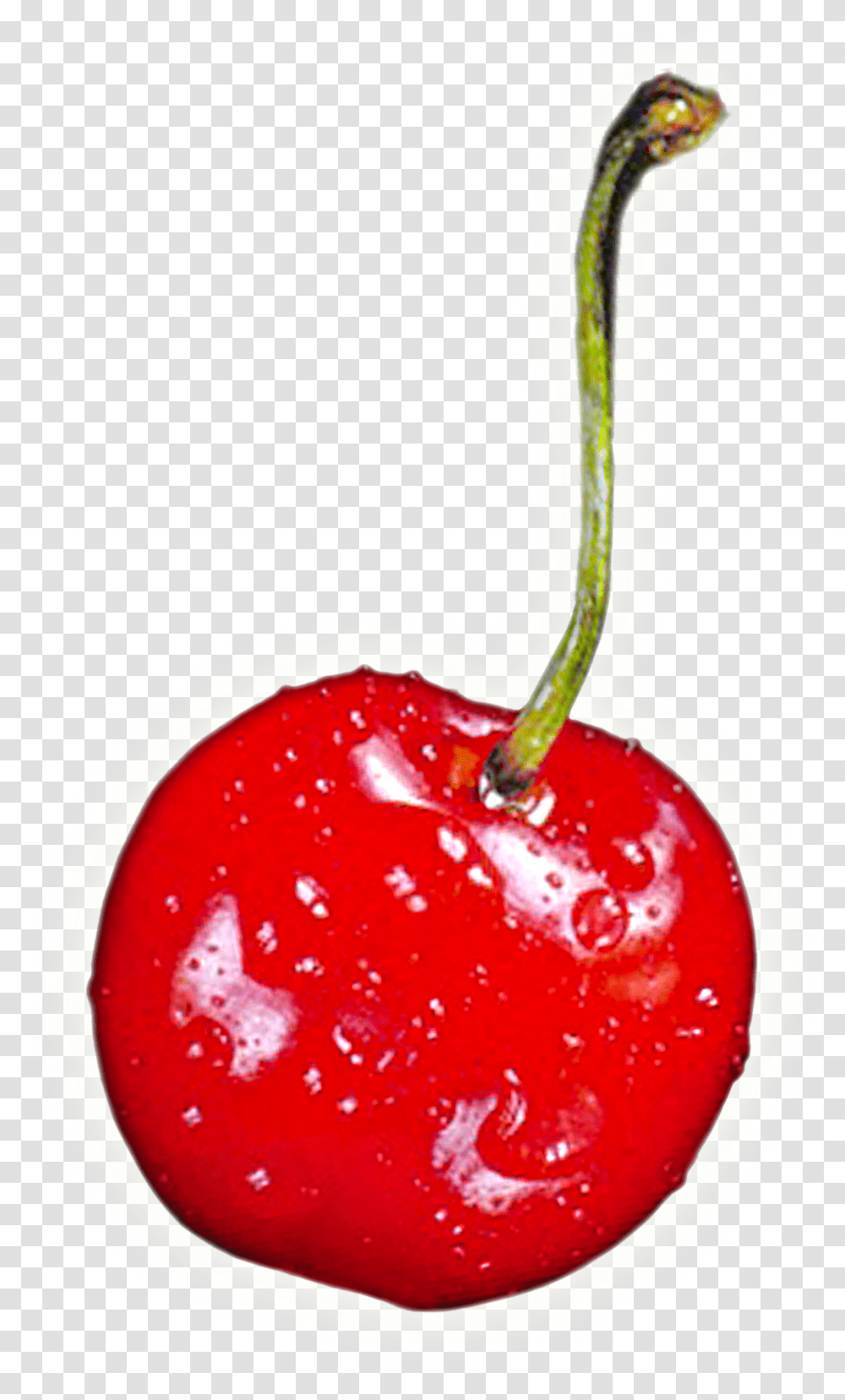 Cherry Free Background Cherries, Plant, Fruit, Food, Ketchup Transparent Png