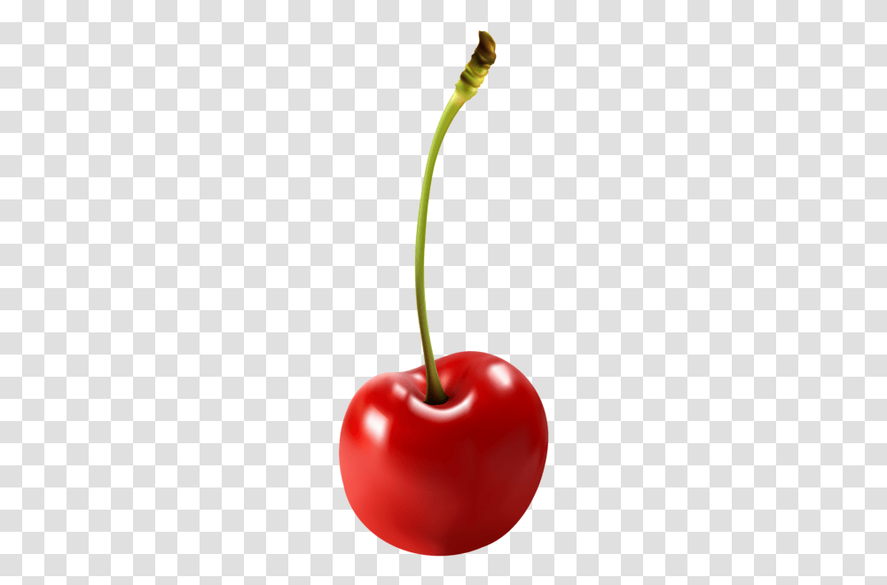 Cherry Free Clip Art Image Clipart Fruits And Vegetables, Plant, Food Transparent Png