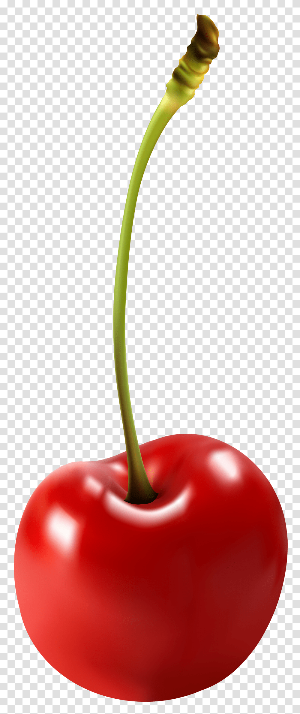 Cherry Free Clip Art, Plant, Fruit, Food Transparent Png