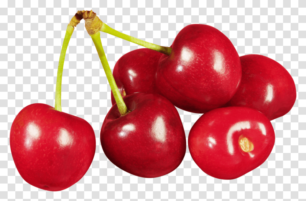 Cherry, Fruit, Apple, Plant, Food Transparent Png