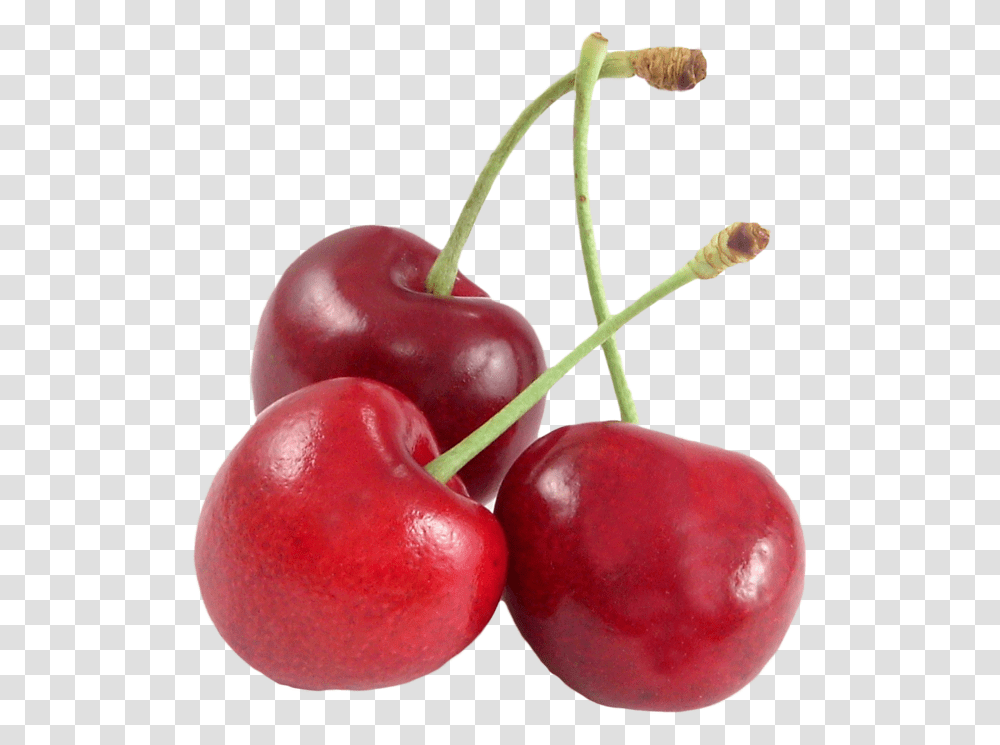 Cherry Fruit Background, Apple, Plant, Food Transparent Png