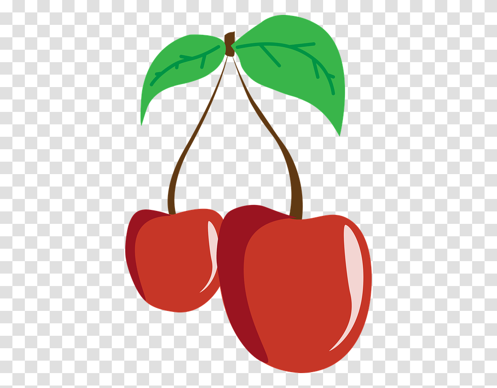Cherry Fruit Cherries Leaf Nutrition Eating, Plant, Food Transparent Png