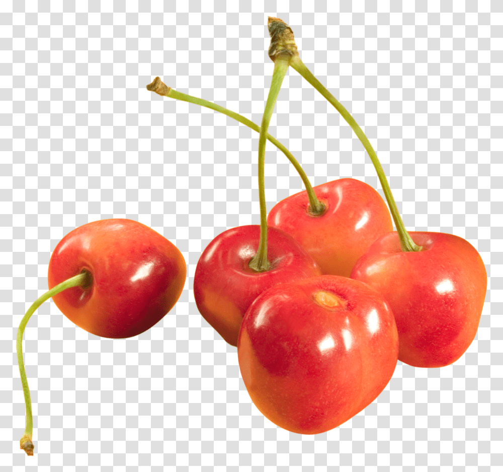 Cherry, Fruit, Plant, Apple, Food Transparent Png