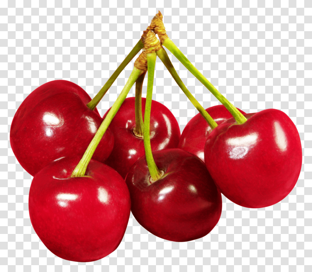 Cherry, Fruit, Plant, Food, Apple Transparent Png