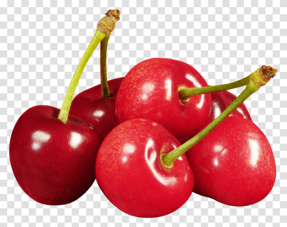 Cherry, Fruit, Plant, Food, Apple Transparent Png