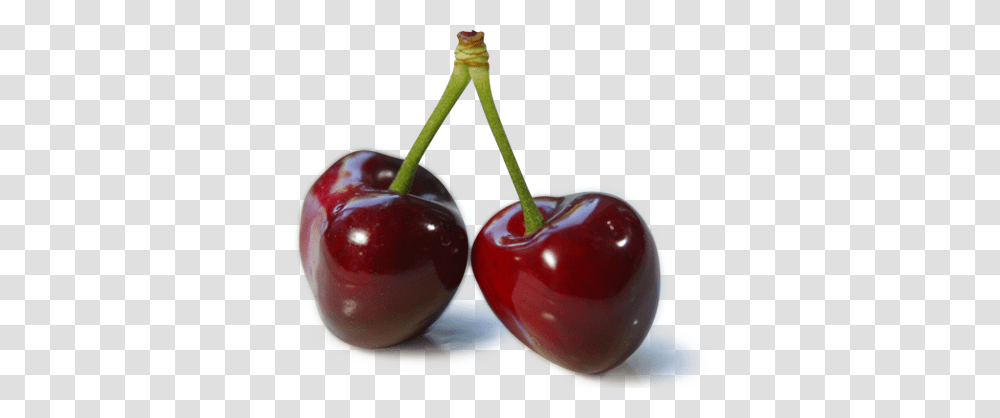 Cherry, Fruit, Plant, Food, Apple Transparent Png