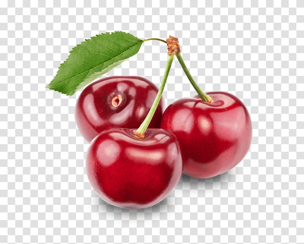 Cherry, Fruit, Plant, Food, Apple Transparent Png