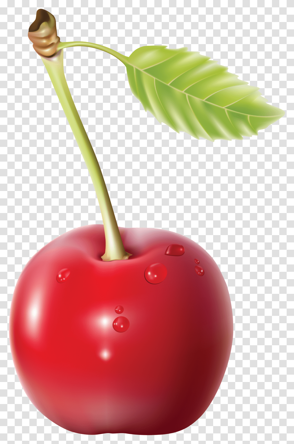 Cherry, Fruit, Plant, Food, Balloon Transparent Png