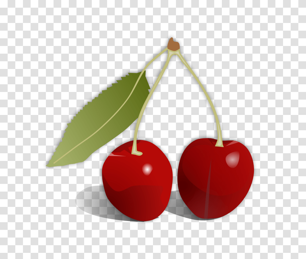 Cherry, Fruit, Plant, Food, Lamp Transparent Png