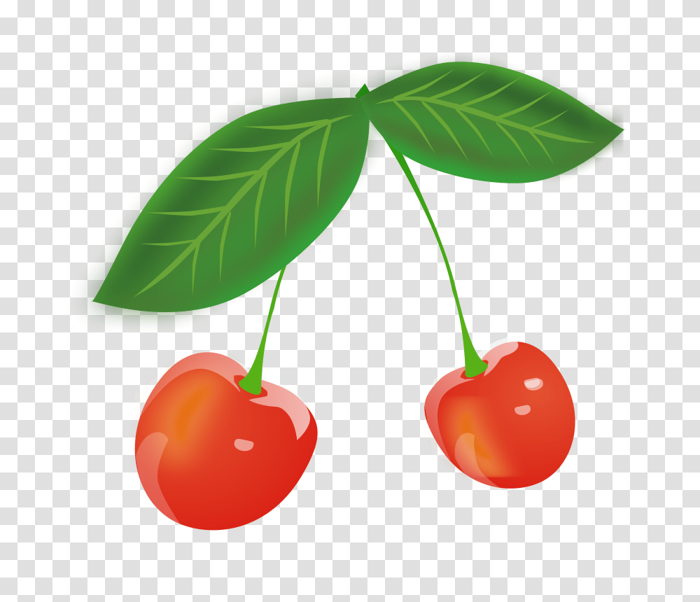 Cherry, Fruit, Plant, Food, Lamp Transparent Png