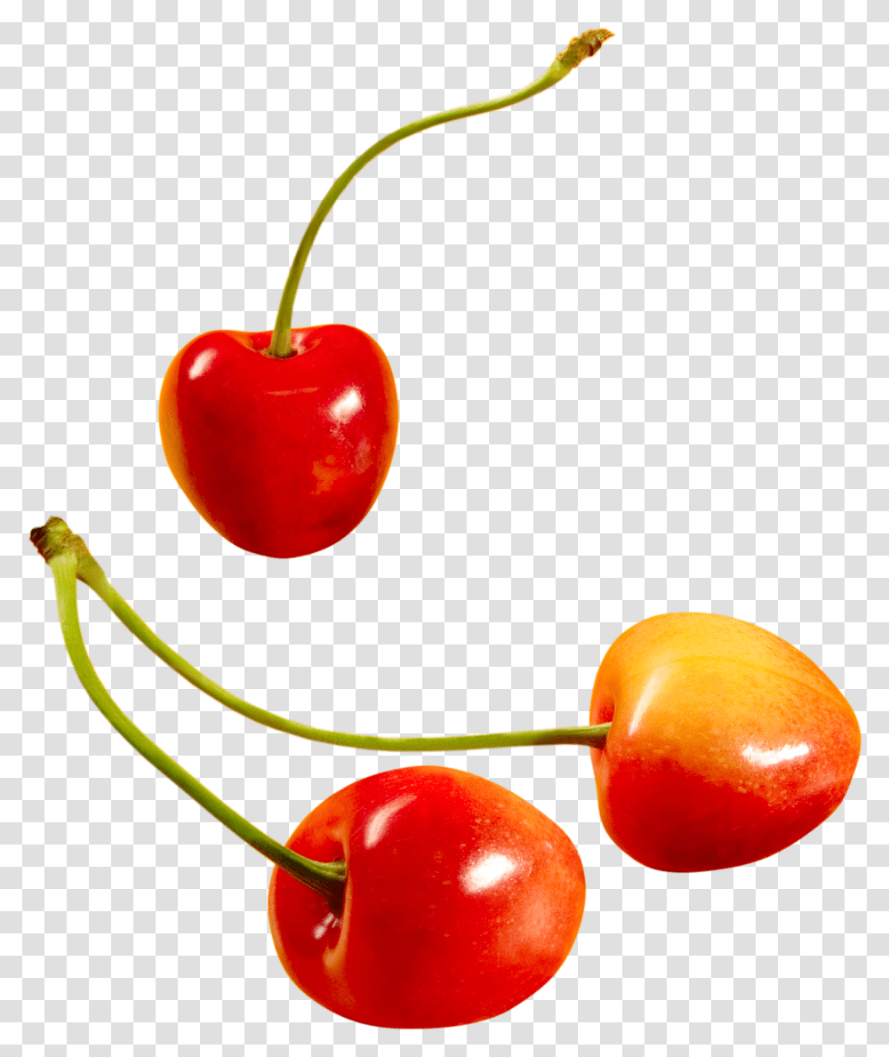 Cherry, Fruit, Plant, Food, Peel Transparent Png