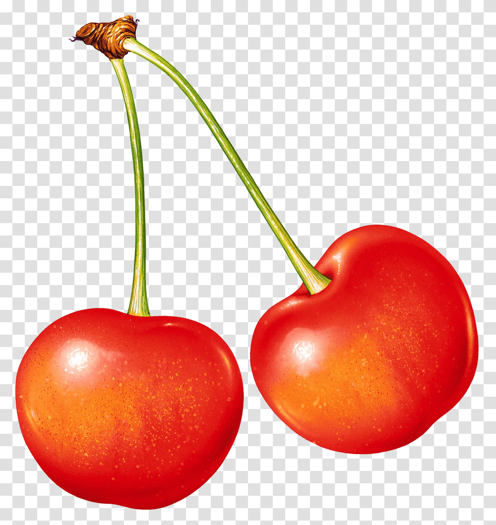 Cherry, Fruit, Plant, Food Transparent Png