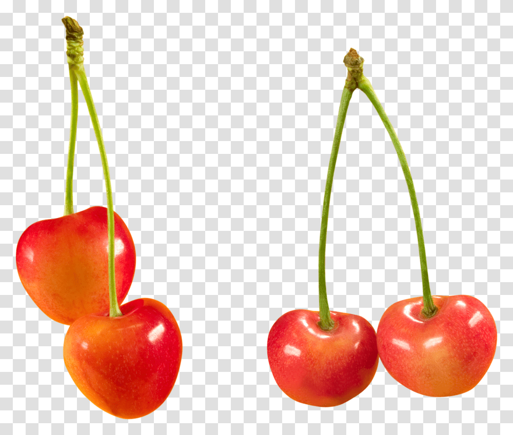 Cherry, Fruit, Plant, Food Transparent Png