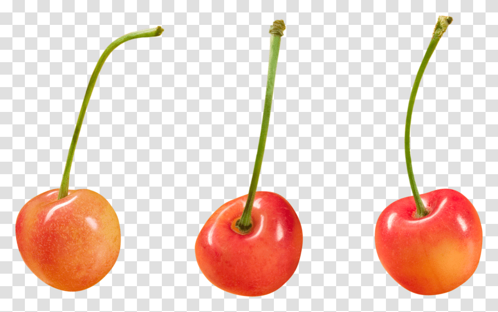 Cherry, Fruit, Plant, Food Transparent Png