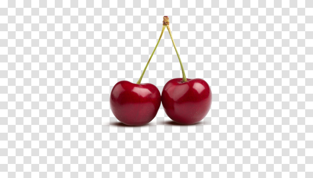 Cherry, Fruit, Plant, Food Transparent Png