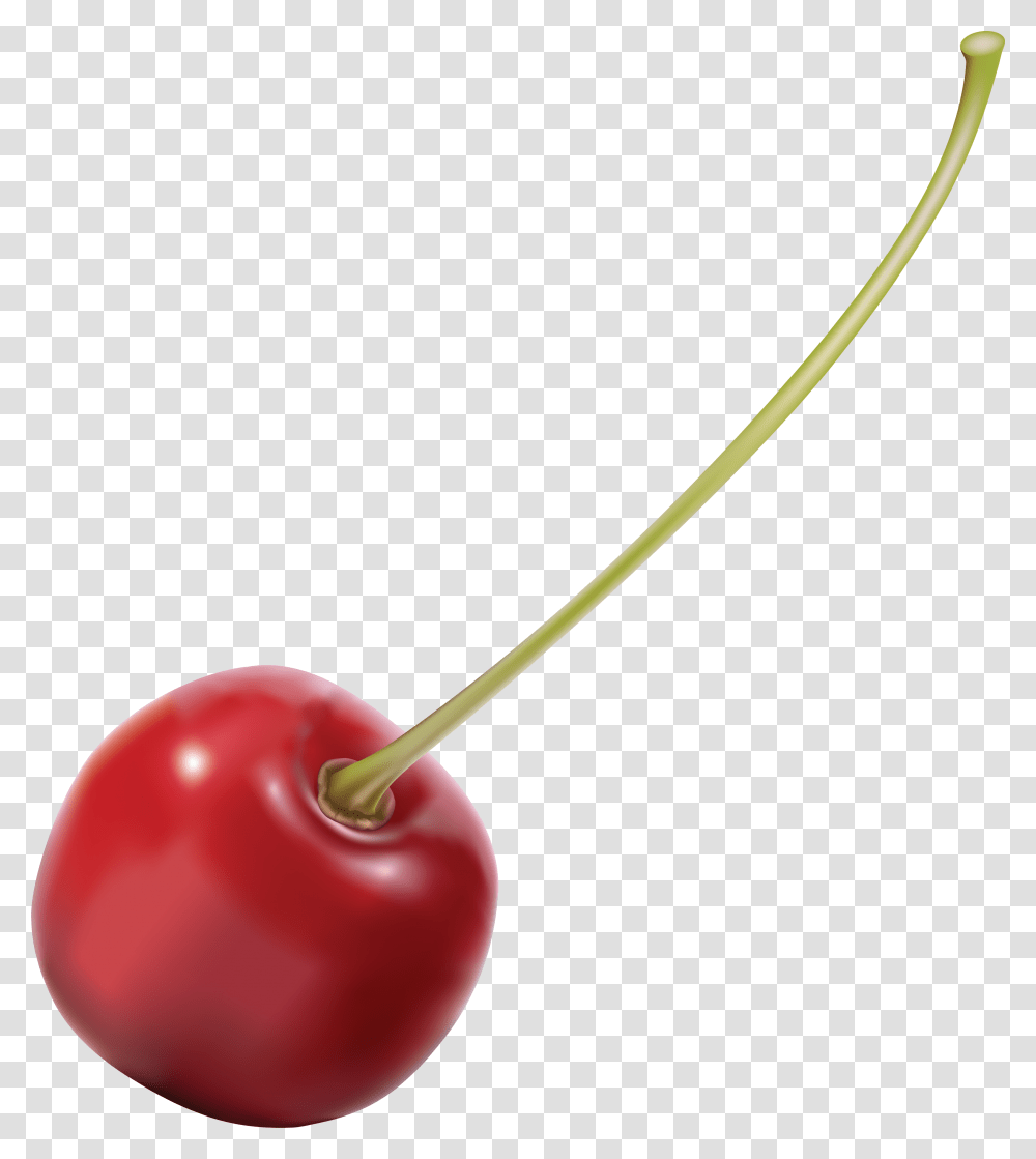 Cherry, Fruit, Plant, Food Transparent Png