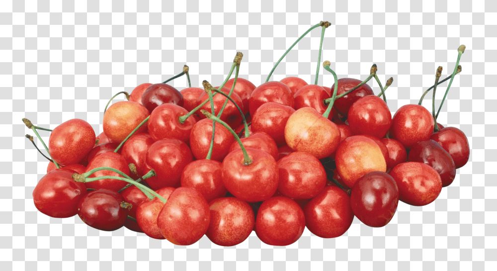 Cherry, Fruit, Plant, Food Transparent Png