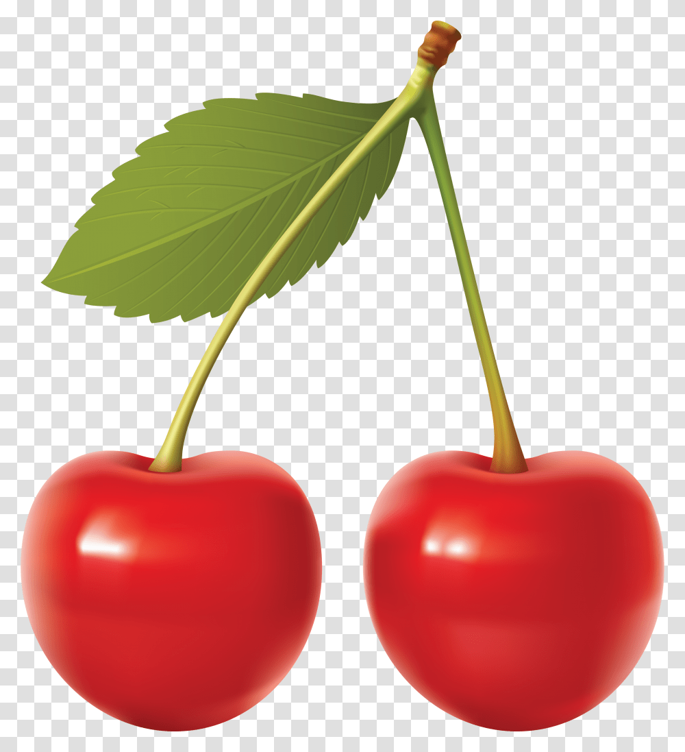 Cherry, Fruit, Plant, Food Transparent Png