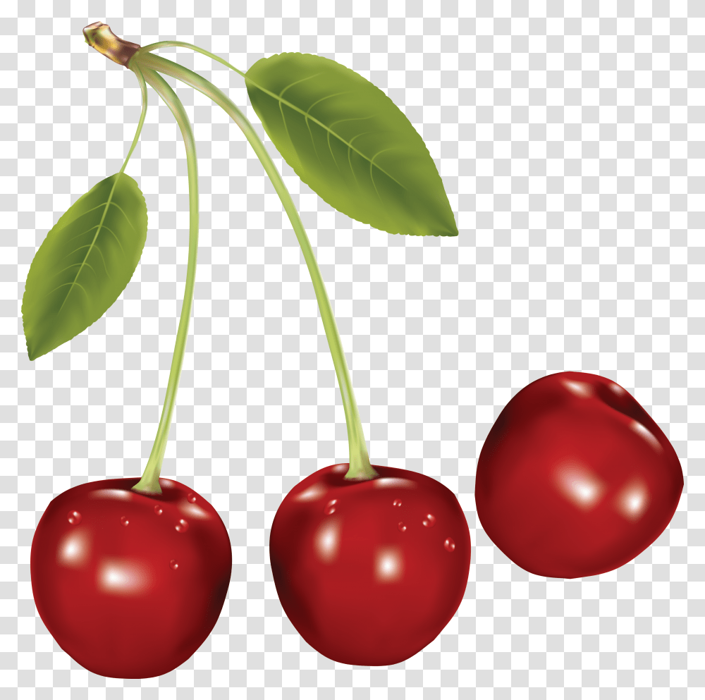 Cherry, Fruit, Plant, Food Transparent Png