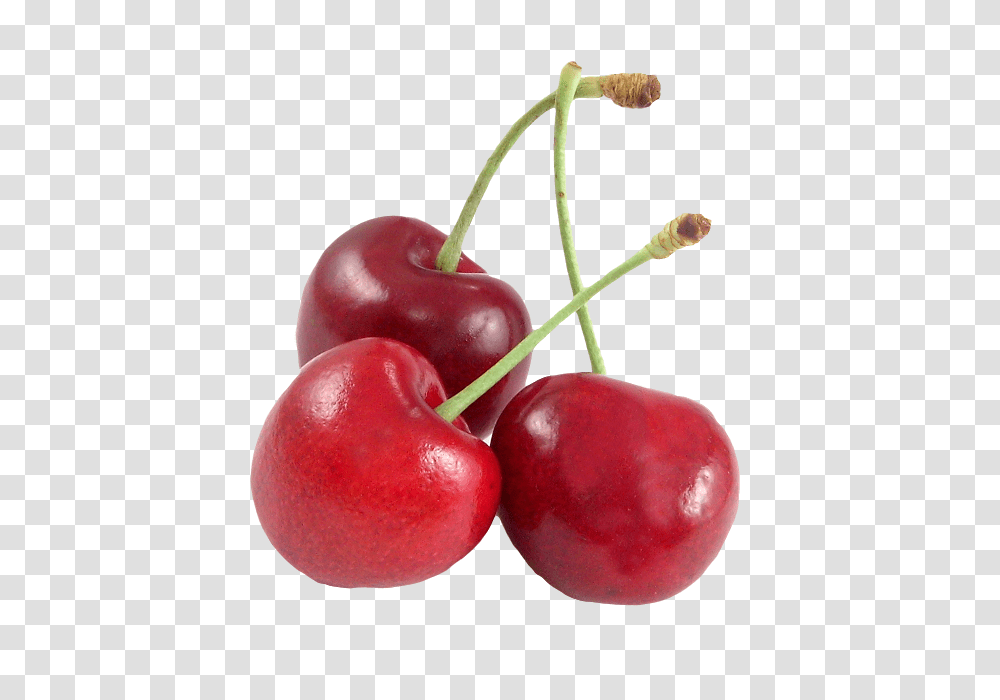 Cherry, Fruit, Plant, Food Transparent Png