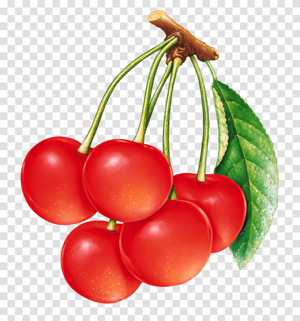 Cherry, Fruit, Plant, Food Transparent Png