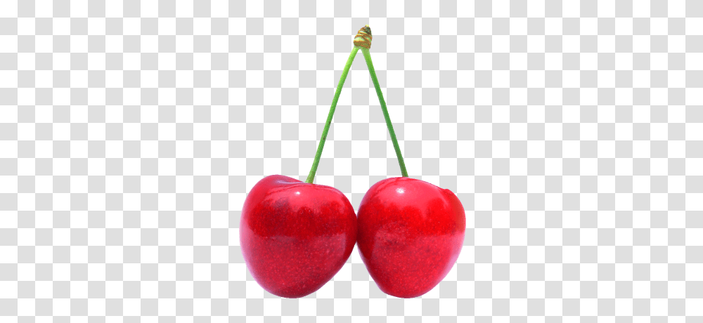 Cherry, Fruit, Plant, Food Transparent Png