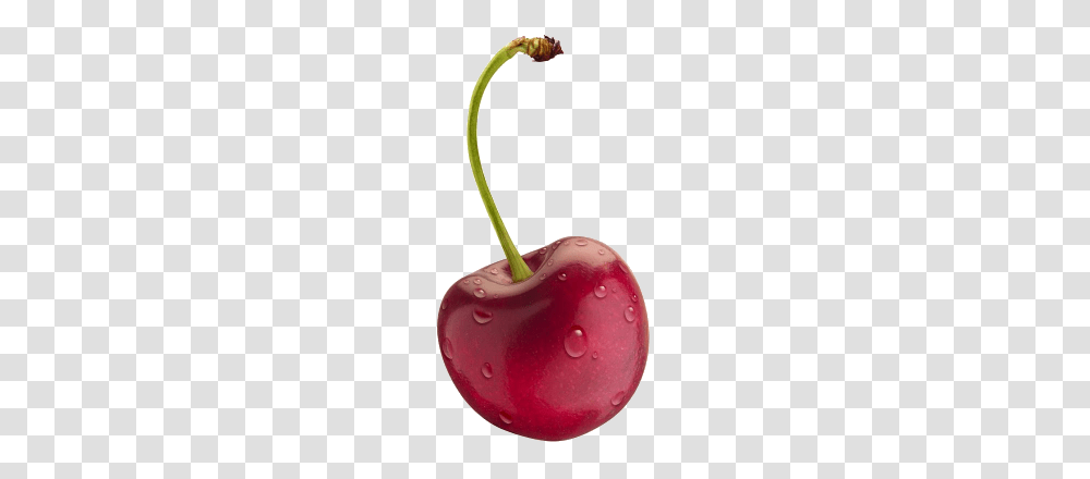 Cherry, Fruit, Plant, Food Transparent Png