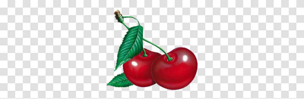 Cherry, Fruit, Plant, Food Transparent Png