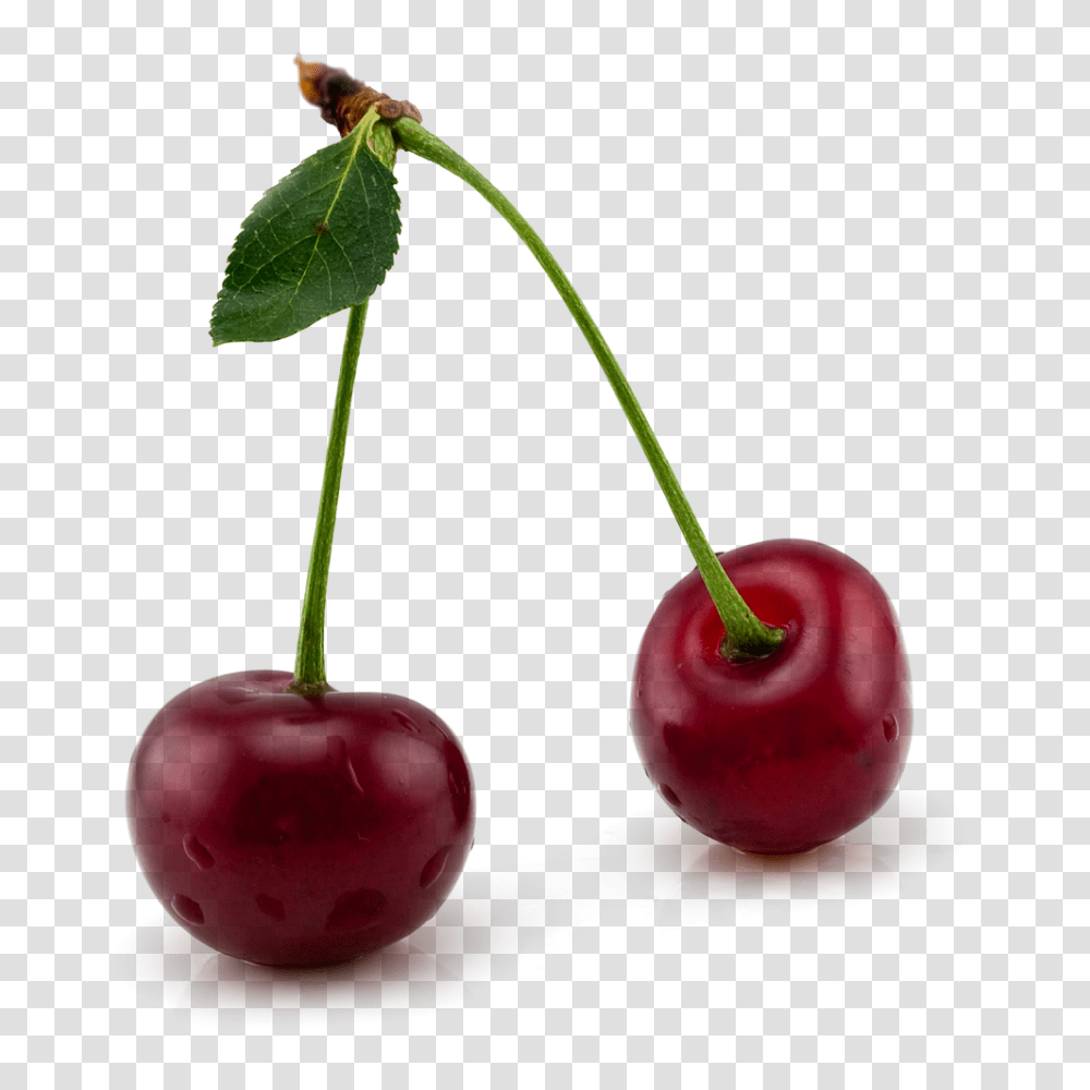 Cherry, Fruit, Plant, Food Transparent Png