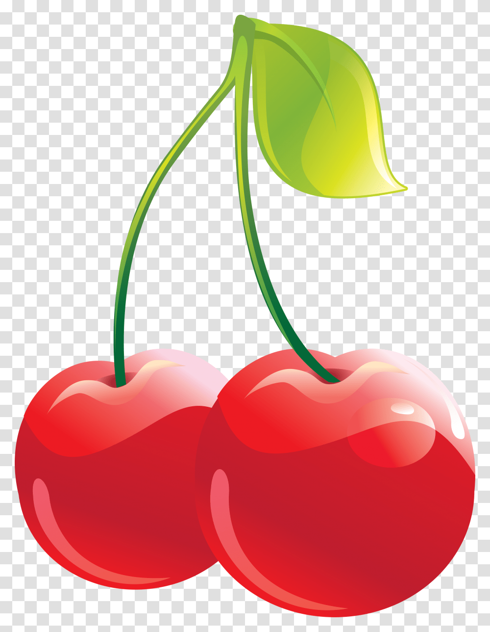 Cherry, Fruit, Plant, Food Transparent Png