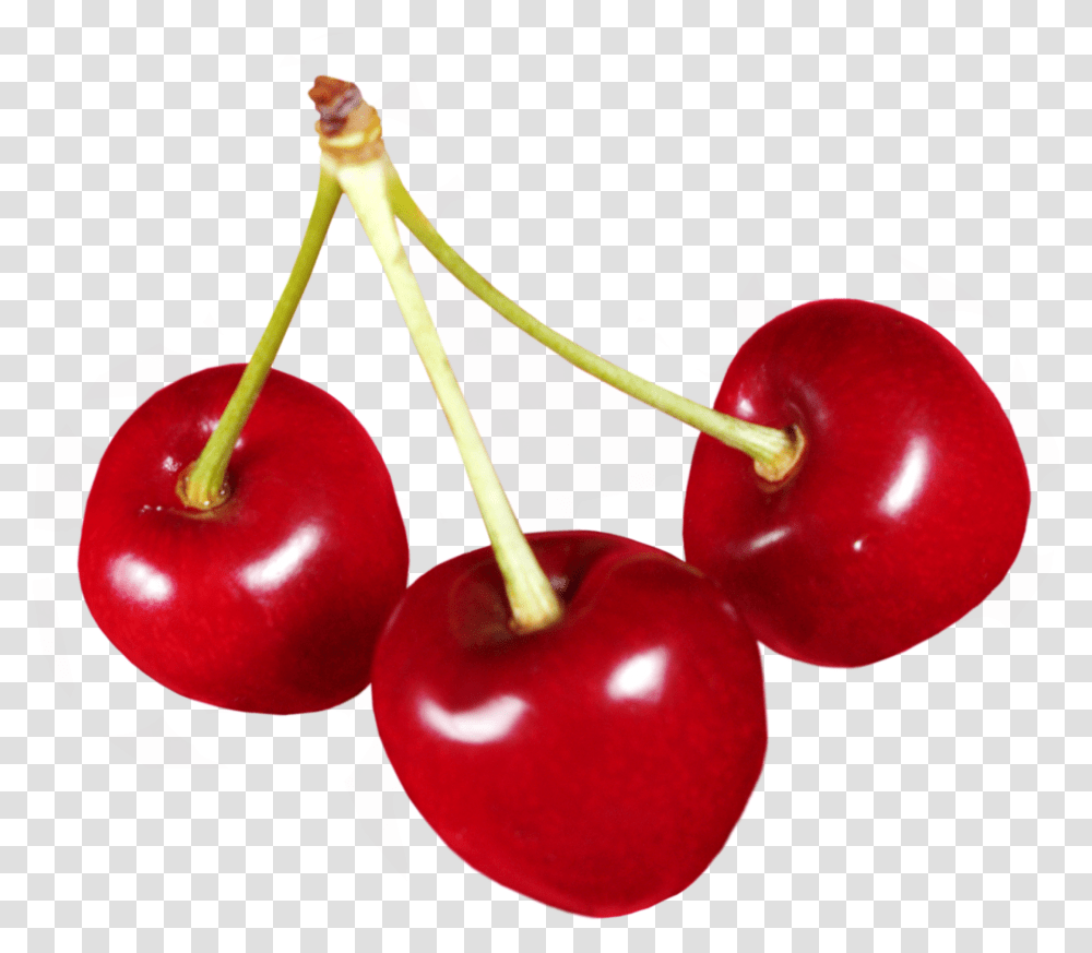 Cherry, Fruit, Plant, Food Transparent Png