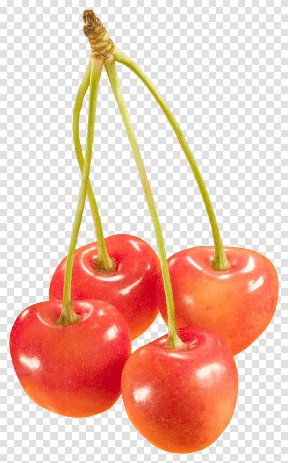 Cherry, Fruit Transparent Png