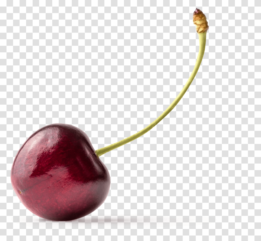 Cherry Graphic Asset Black Cherry, Plant, Fruit, Food, Smoke Pipe Transparent Png