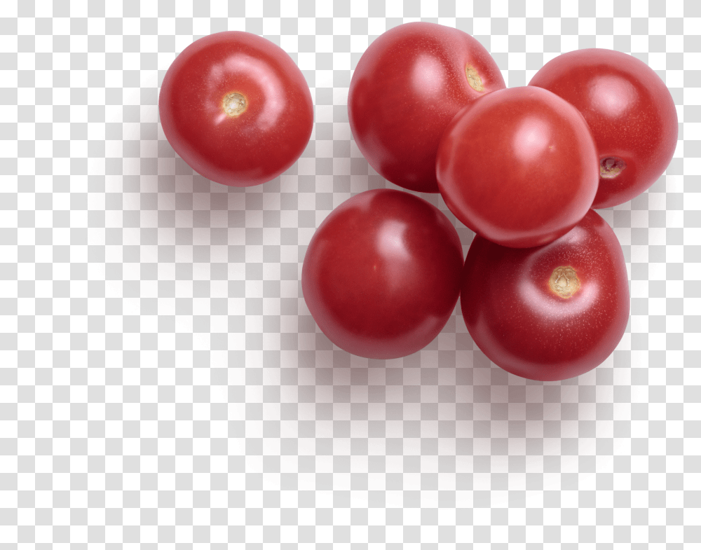 Cherry Graphic Asset Superfood Transparent Png