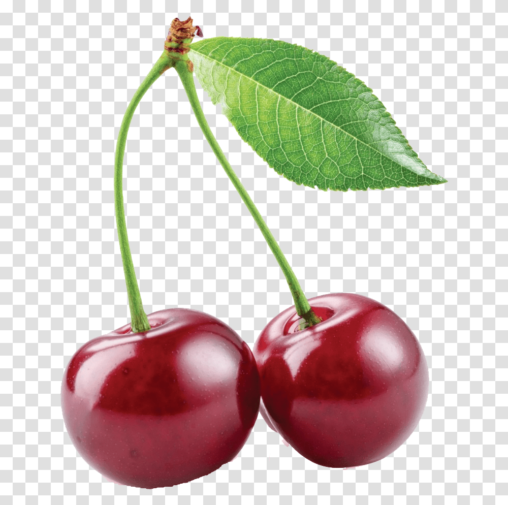 Cherry Hd Quality Cherry, Plant, Fruit, Food Transparent Png