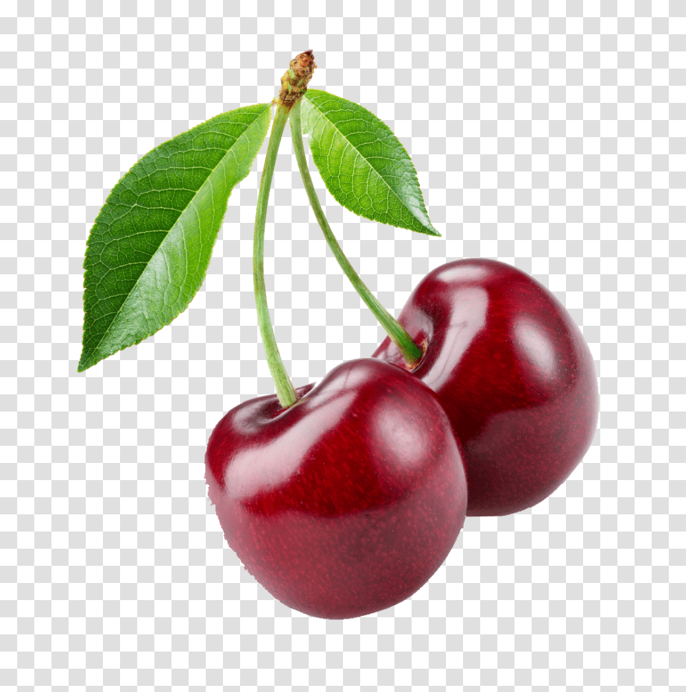 Cherry Image, Plant, Fruit, Food, Leaf Transparent Png