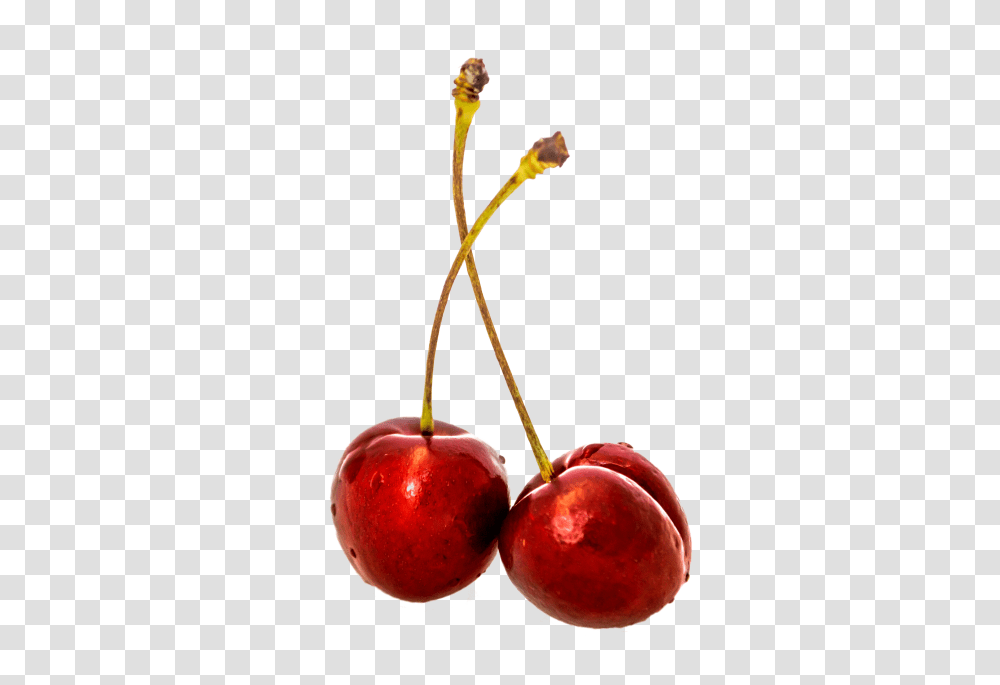 Cherry Image Transparent Png