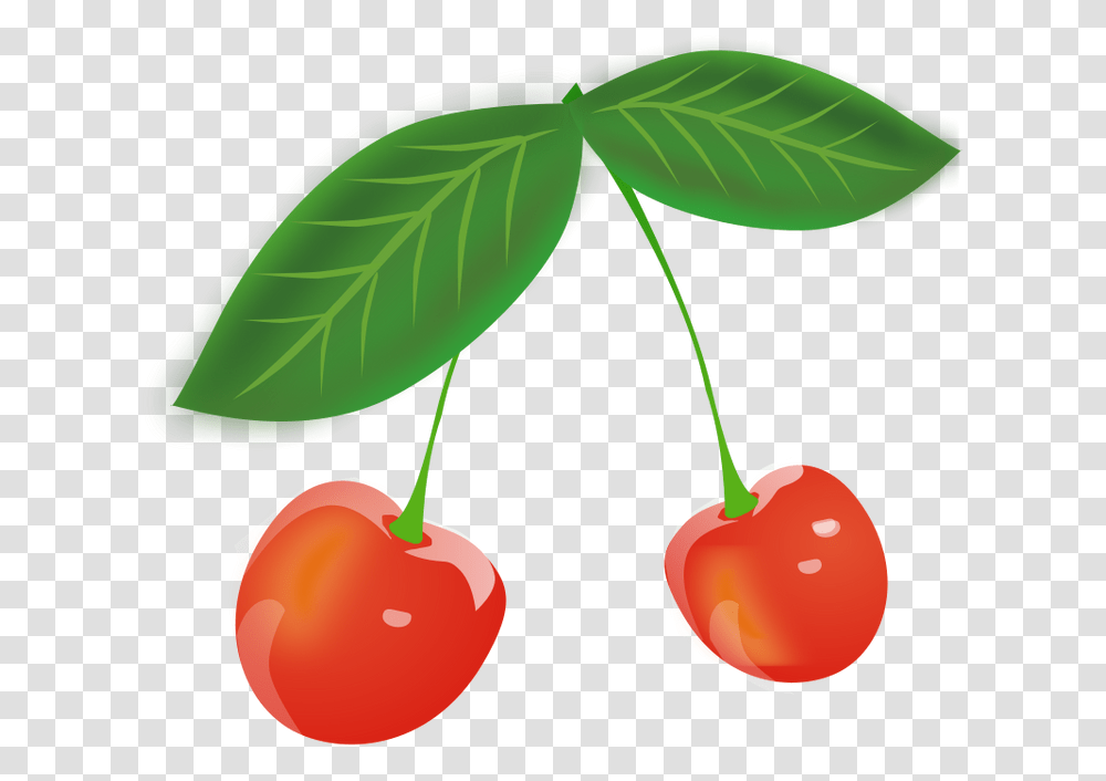 Cherry Images Cherry, Plant, Fruit, Food, Leaf Transparent Png
