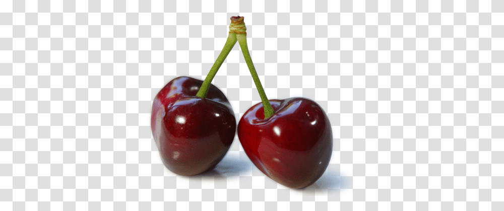 Cherry Images Free Download Cherries, Plant, Fruit, Food, Ketchup Transparent Png