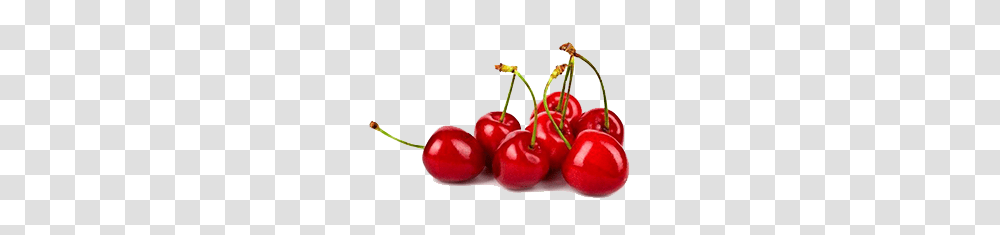 Cherry Images, Plant, Fruit, Food, Dynamite Transparent Png