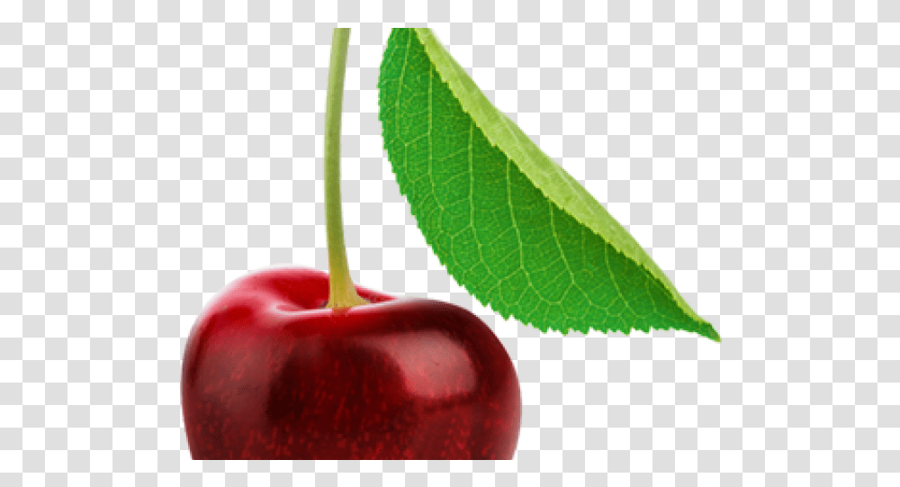 Cherry Images Single Cherry Fruits, Plant, Food, Apple Transparent Png