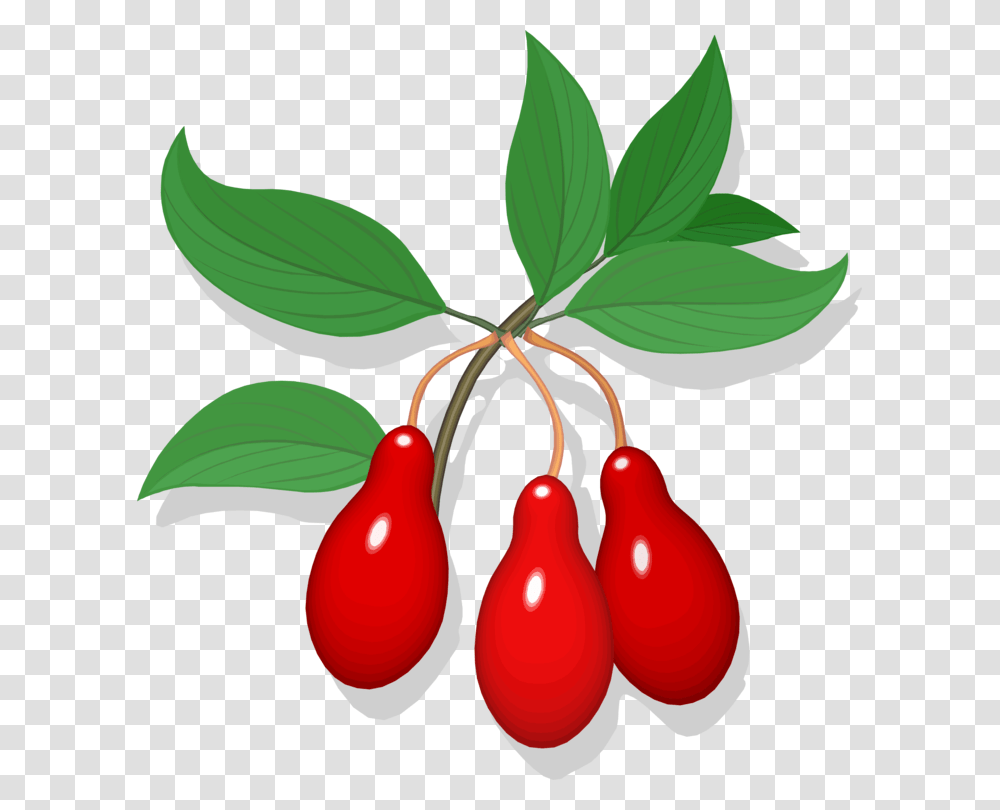 Cherry Line Art Fruit Auglis Drawing, Plant, Food Transparent Png