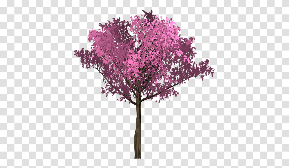 Cherry Pink Tree Painted Tree Purple Arbol Rosado, Plant, Flower, Blossom, Cross Transparent Png