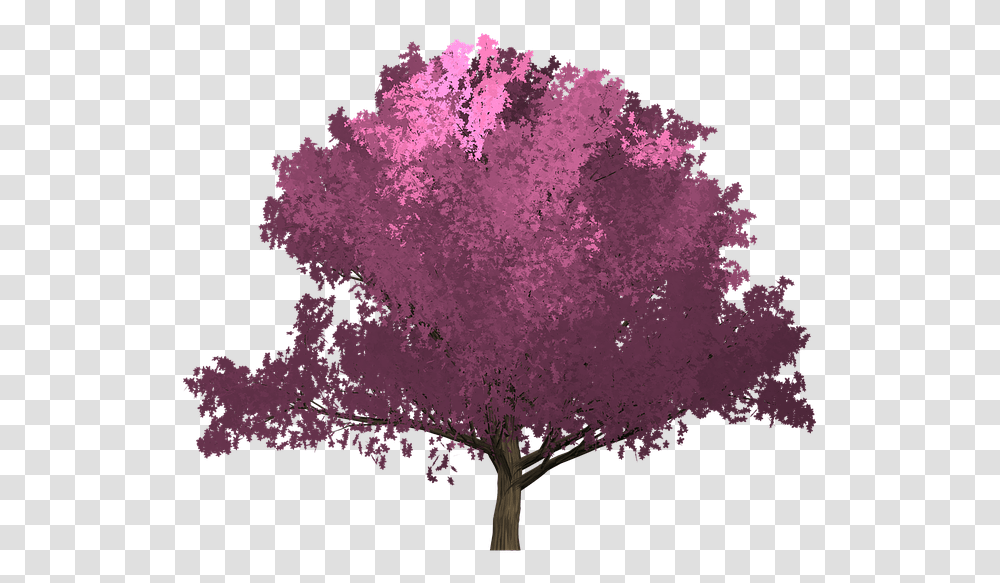 Cherry Pink Tree Painted Tree Purple Portadas De Libros Sin Titulo, Ornament, Plant, Pattern, Flower Transparent Png