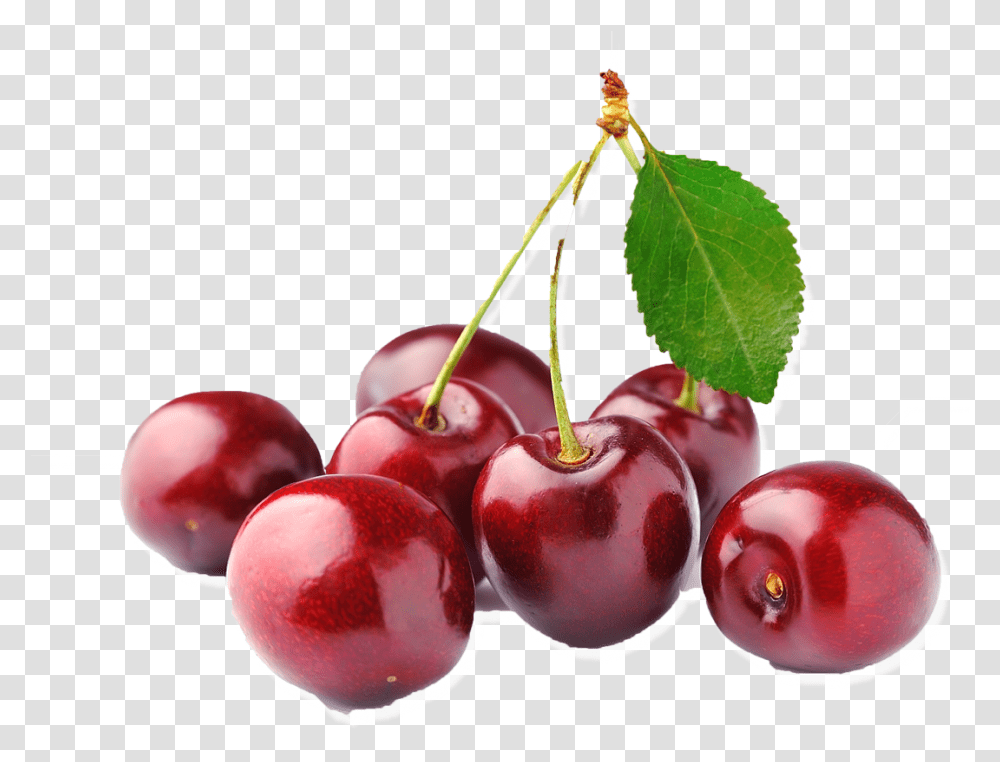 Cherry, Plant, Fruit, Food, Apple Transparent Png