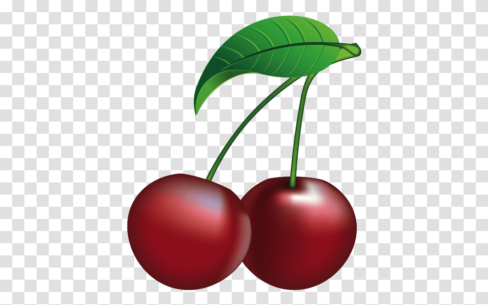 Cherry, Plant, Fruit, Food, Lamp Transparent Png