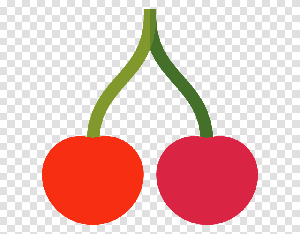 Cherry, Plant, Fruit, Food Transparent Png