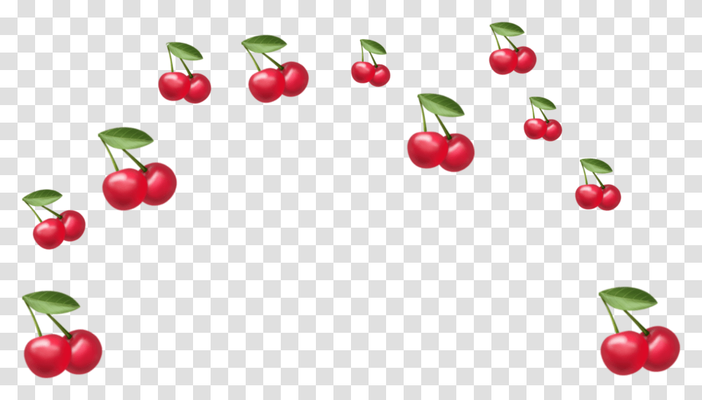 Cherry, Plant, Fruit, Food Transparent Png